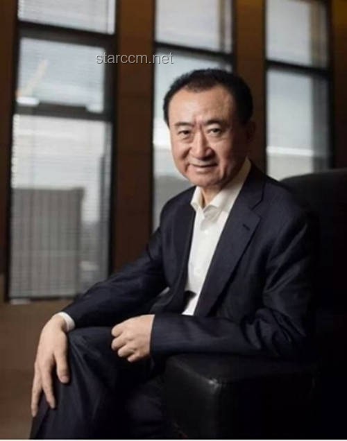 王健林断臂求生背后的战略棋局